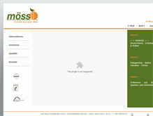 Tablet Screenshot of fritz-moess.de